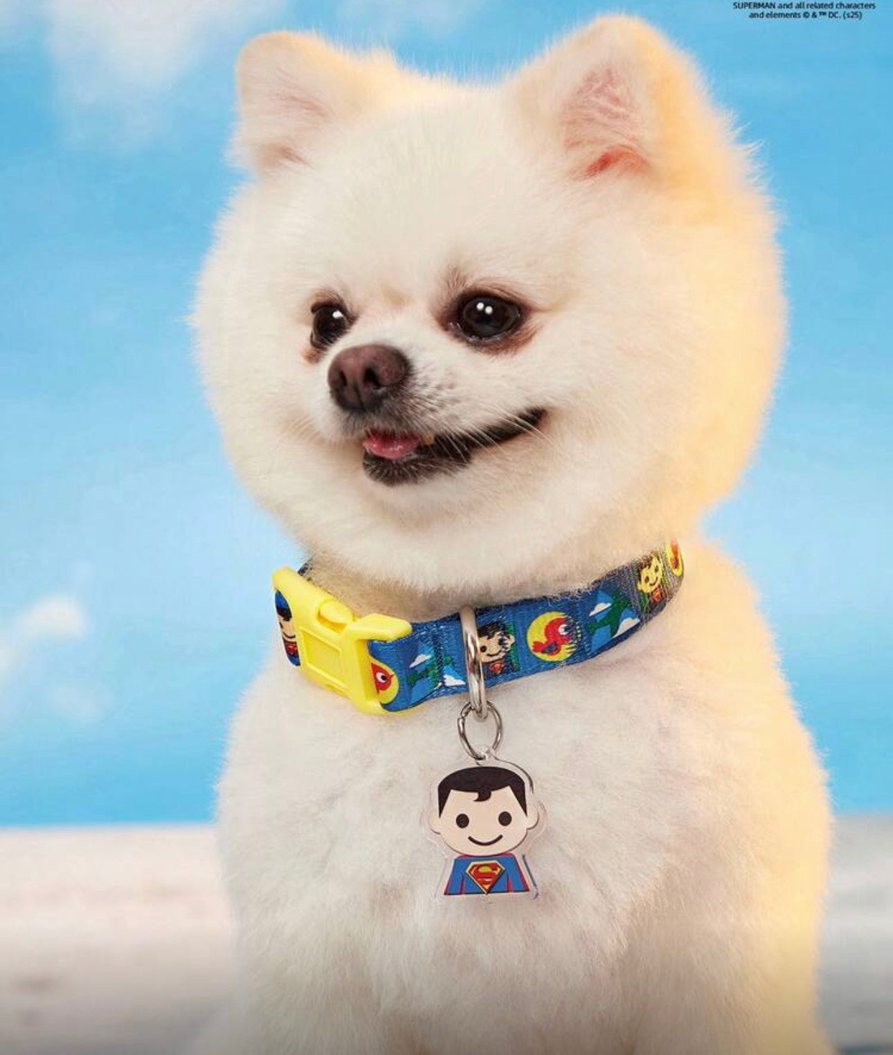 Baby Superman Collar