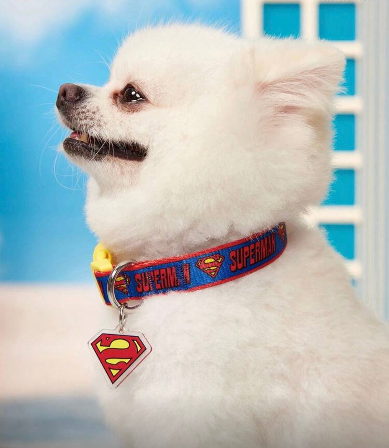 Superman Collar