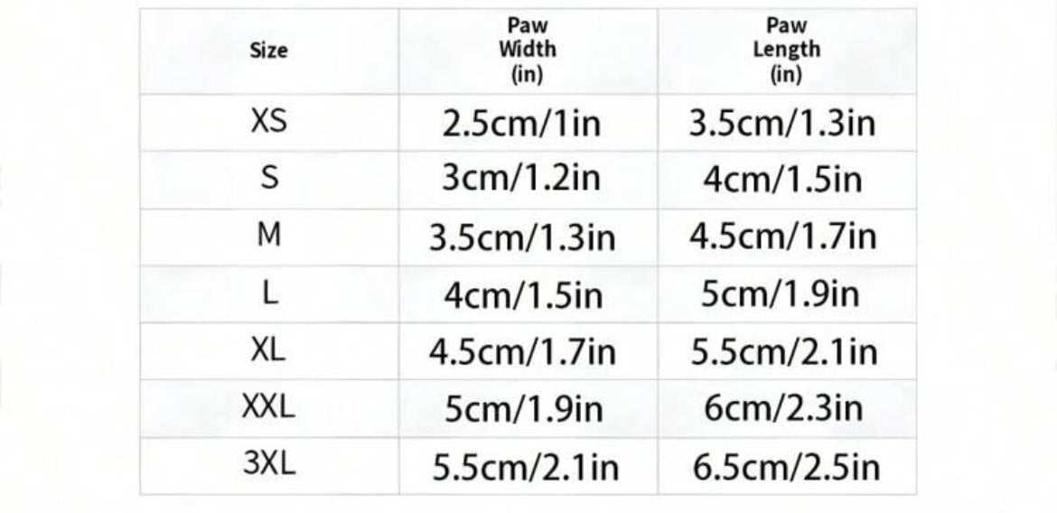 Black Waterproof Shoes