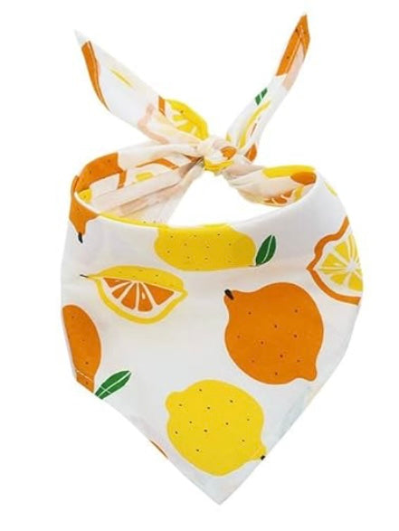 Colorful Bandanas