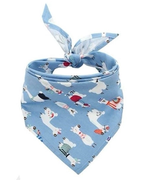 Colorful Bandanas