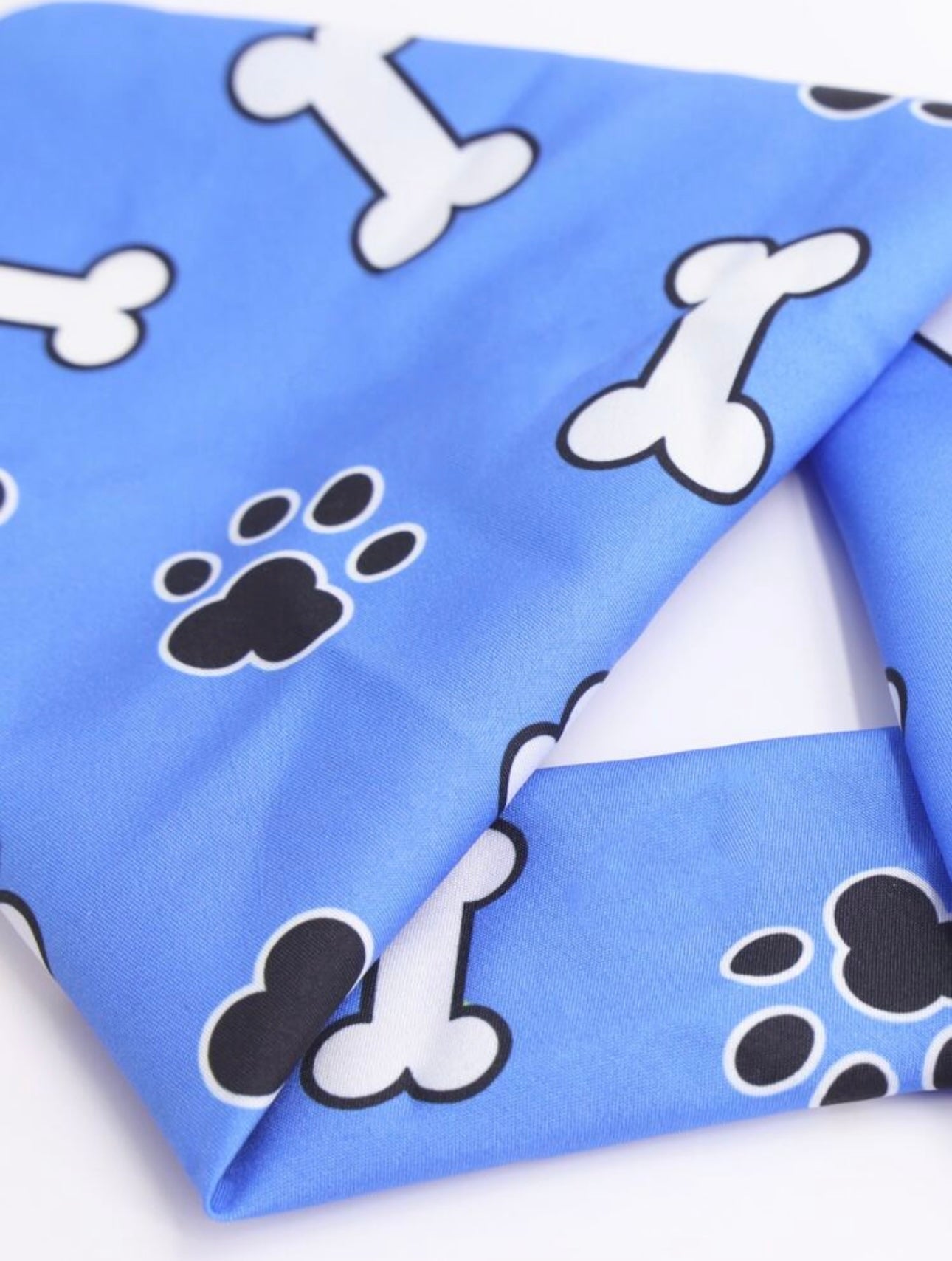 Blue Paw & Bone Bandana