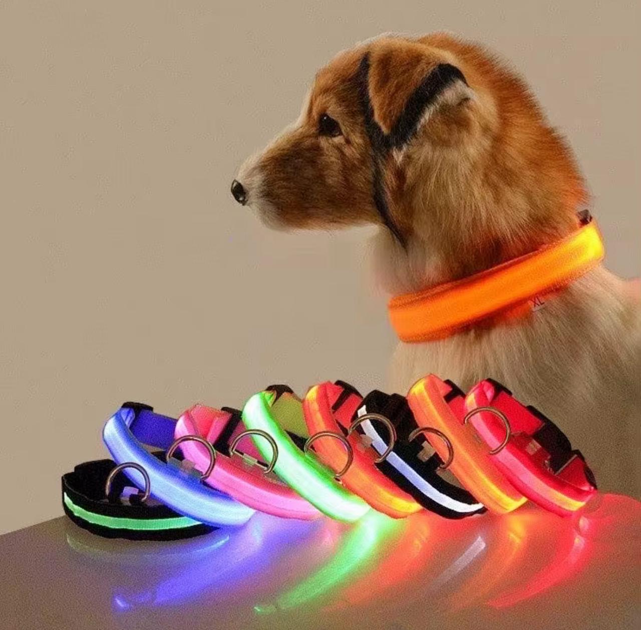 Led Collar