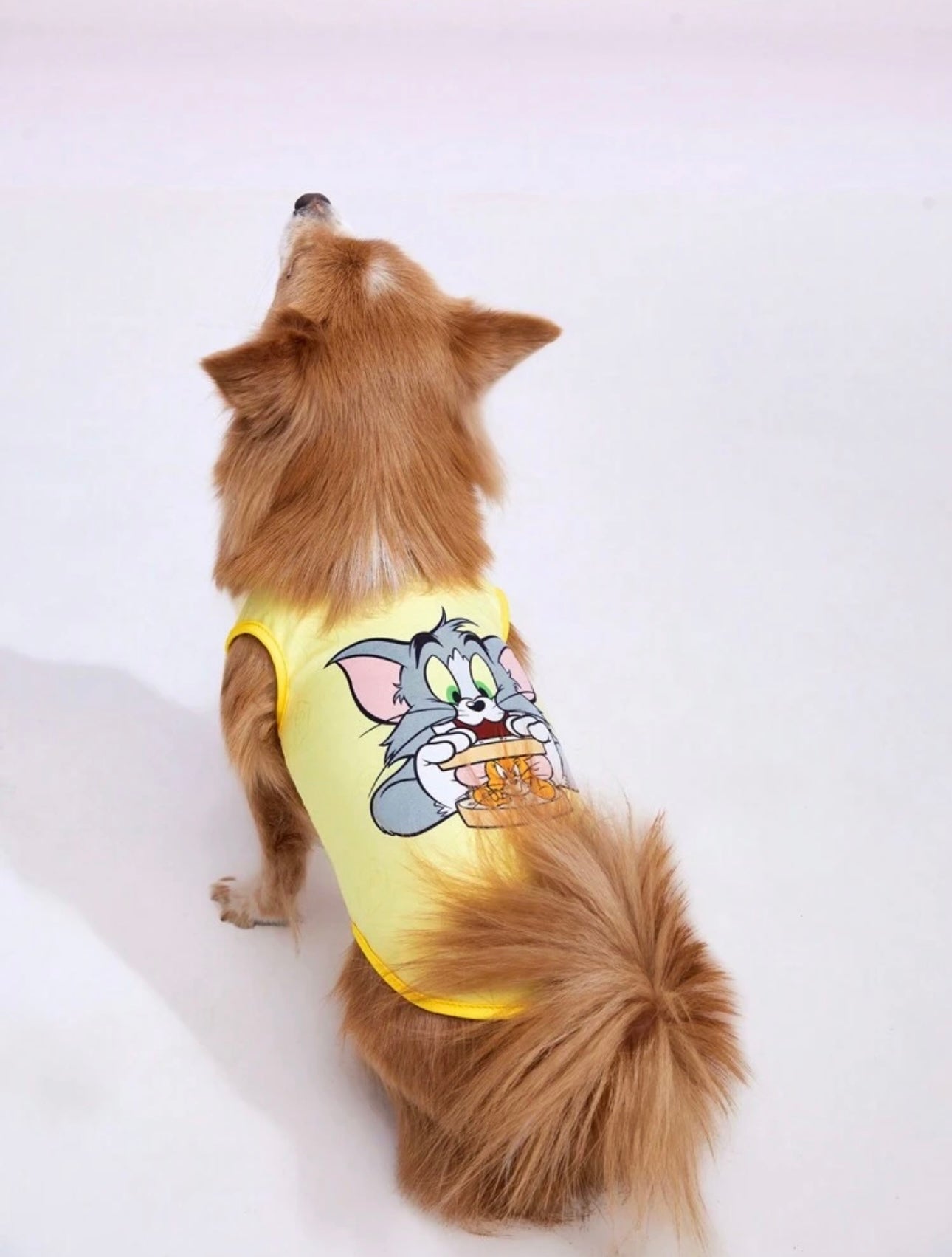 Tom & Jerry Pet Shirt