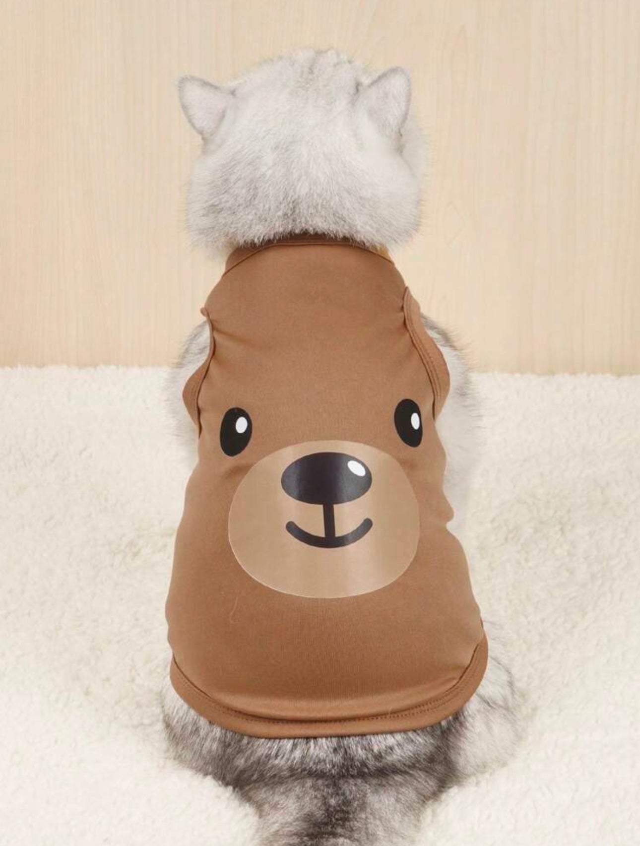 Brown Bear Pet Shirt