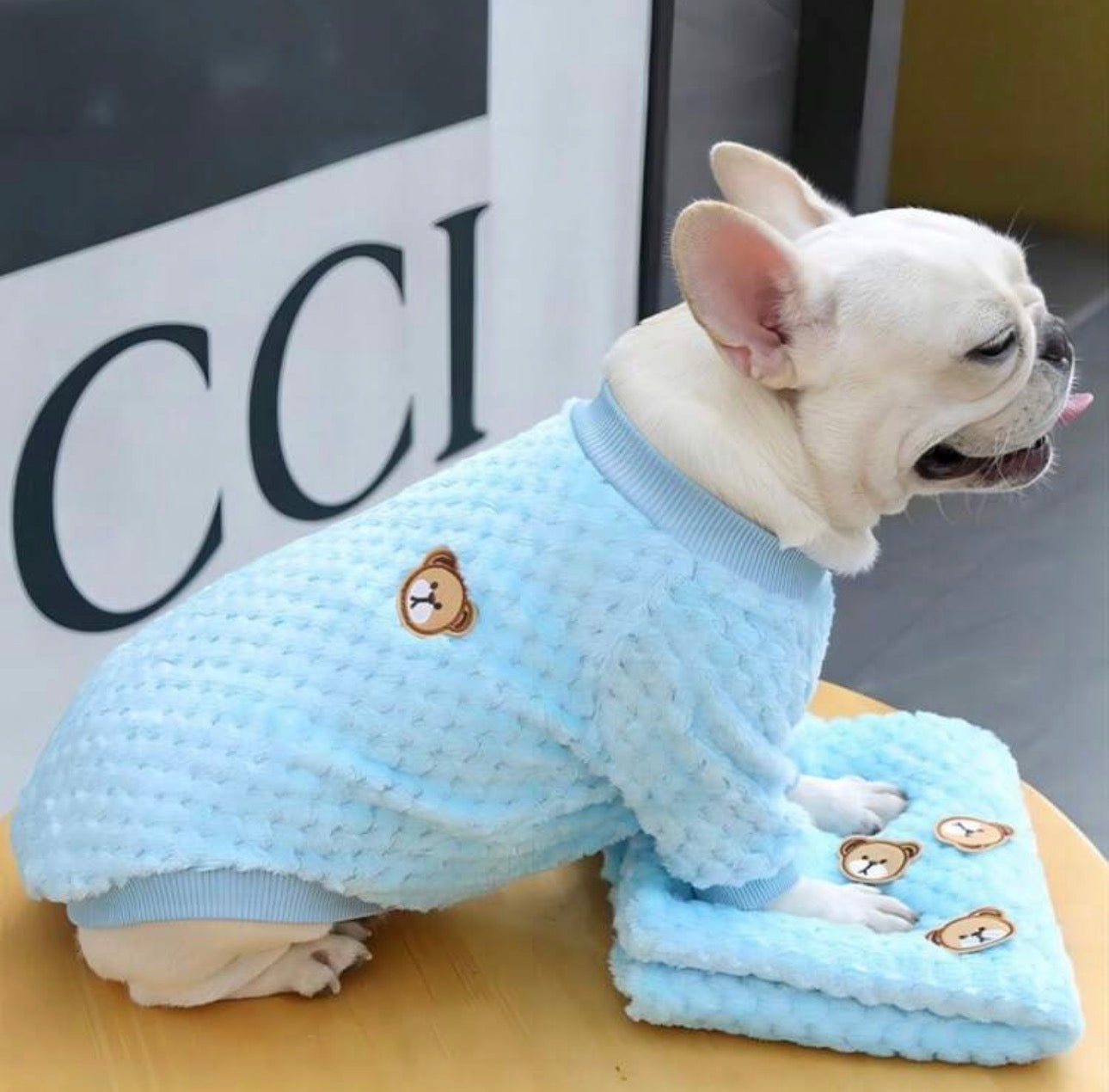 Turquoise Teddy Bear Shirt