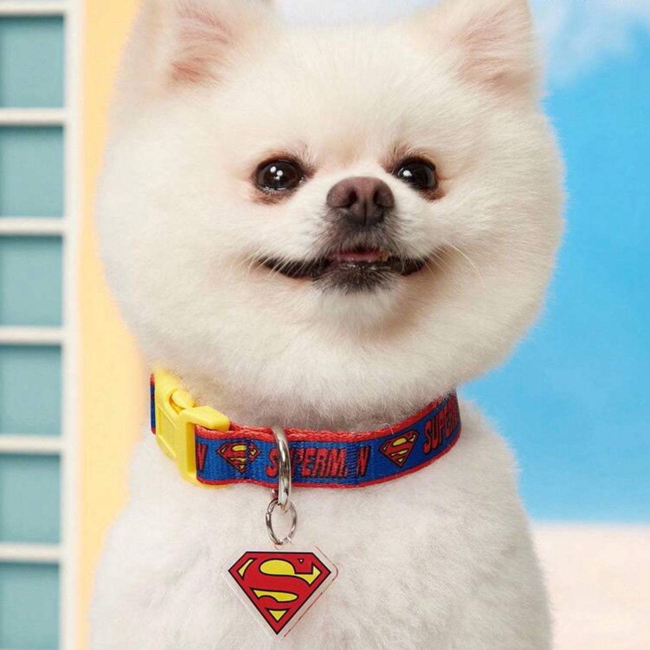 Superman Collar