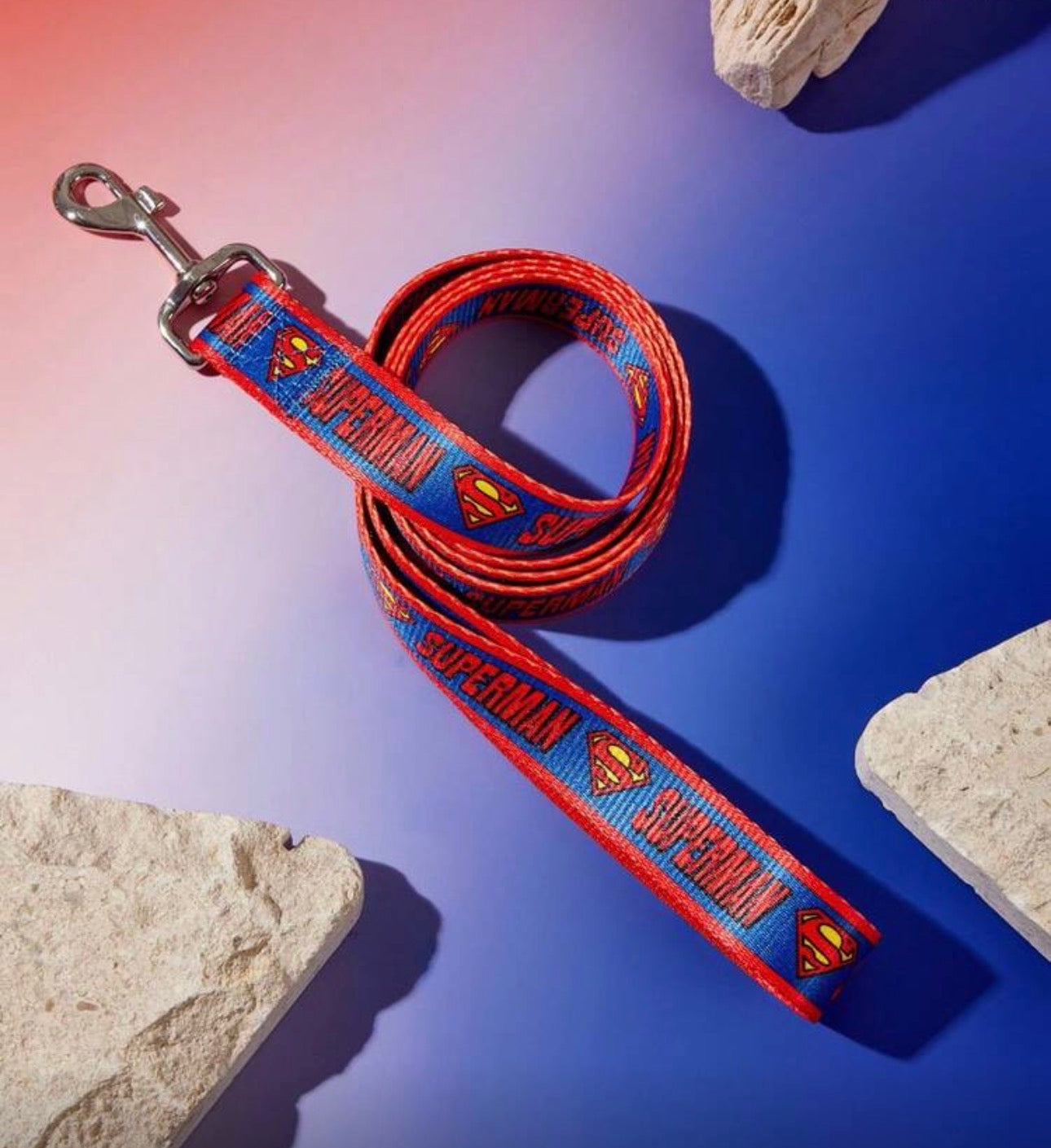 Superman Leash