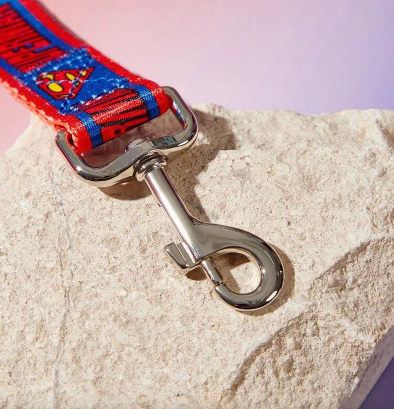 Superman Leash