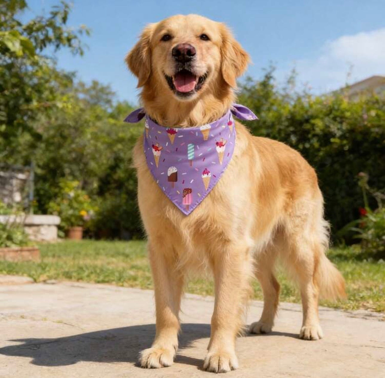 Colorful Bandanas