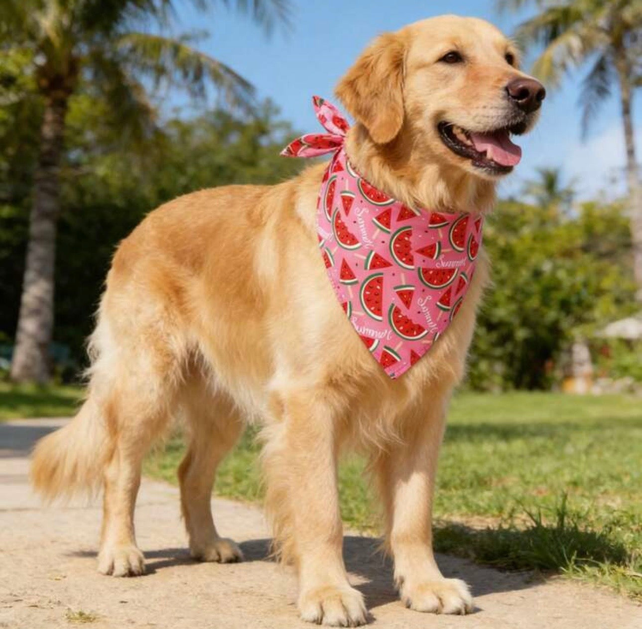 Colorful Bandanas