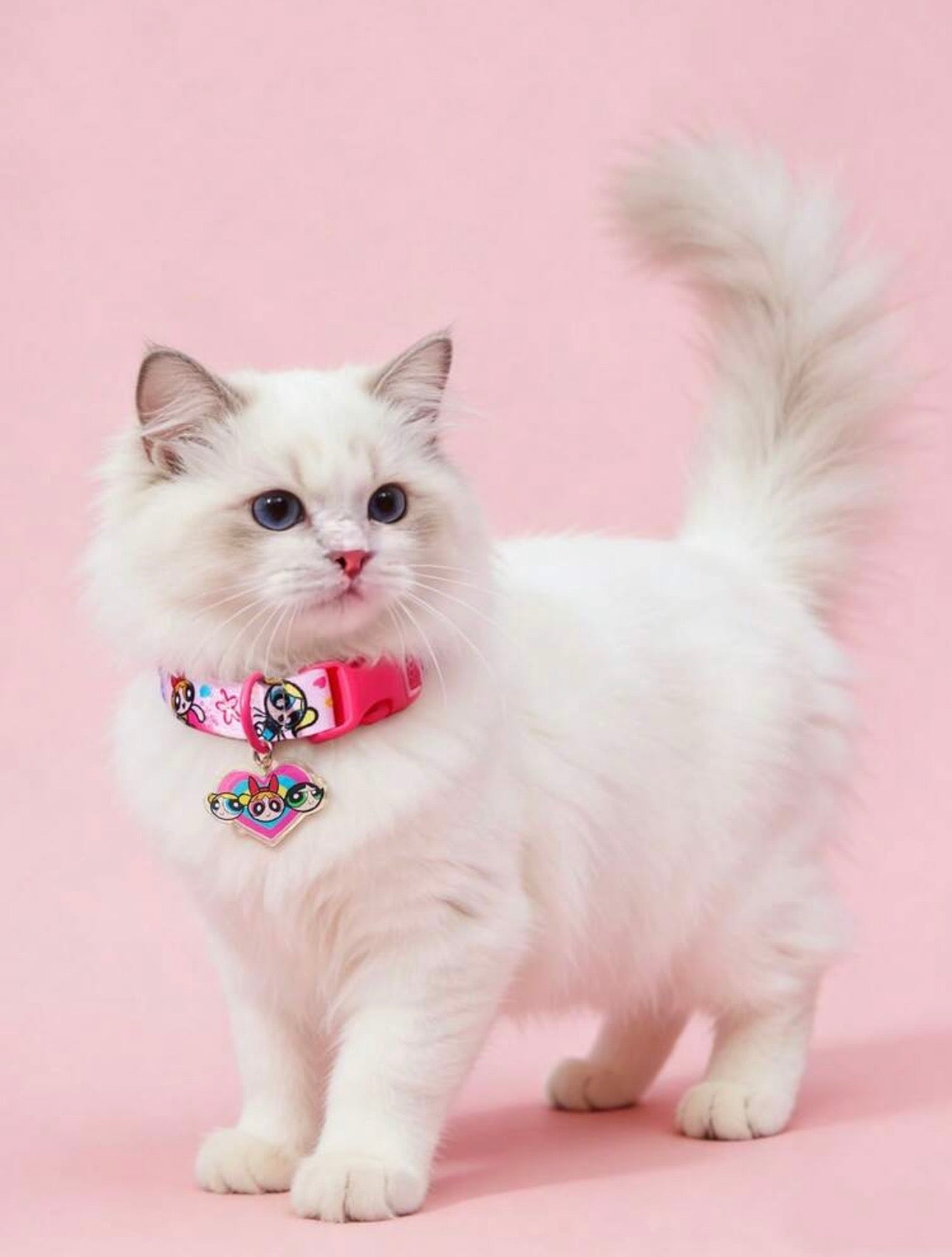 Powerpuff Girls Collar