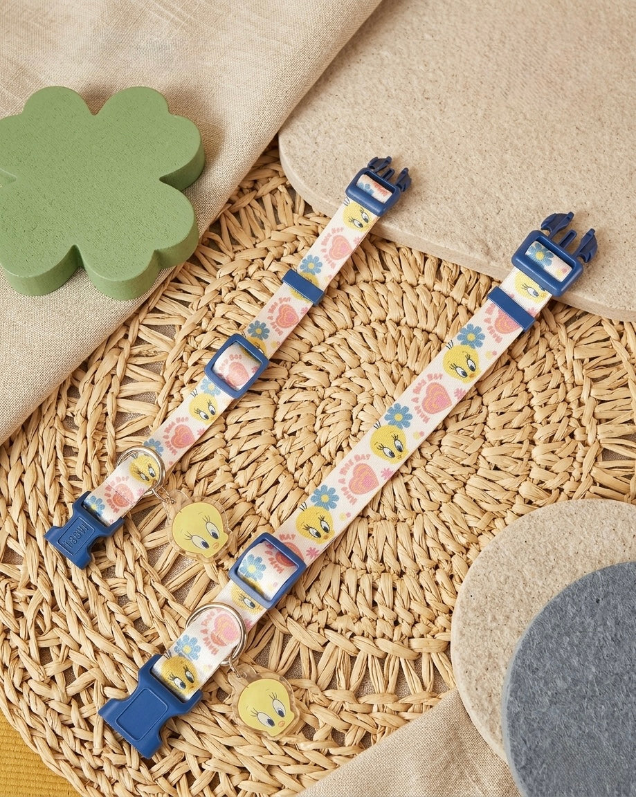 Tweety Pet Collar