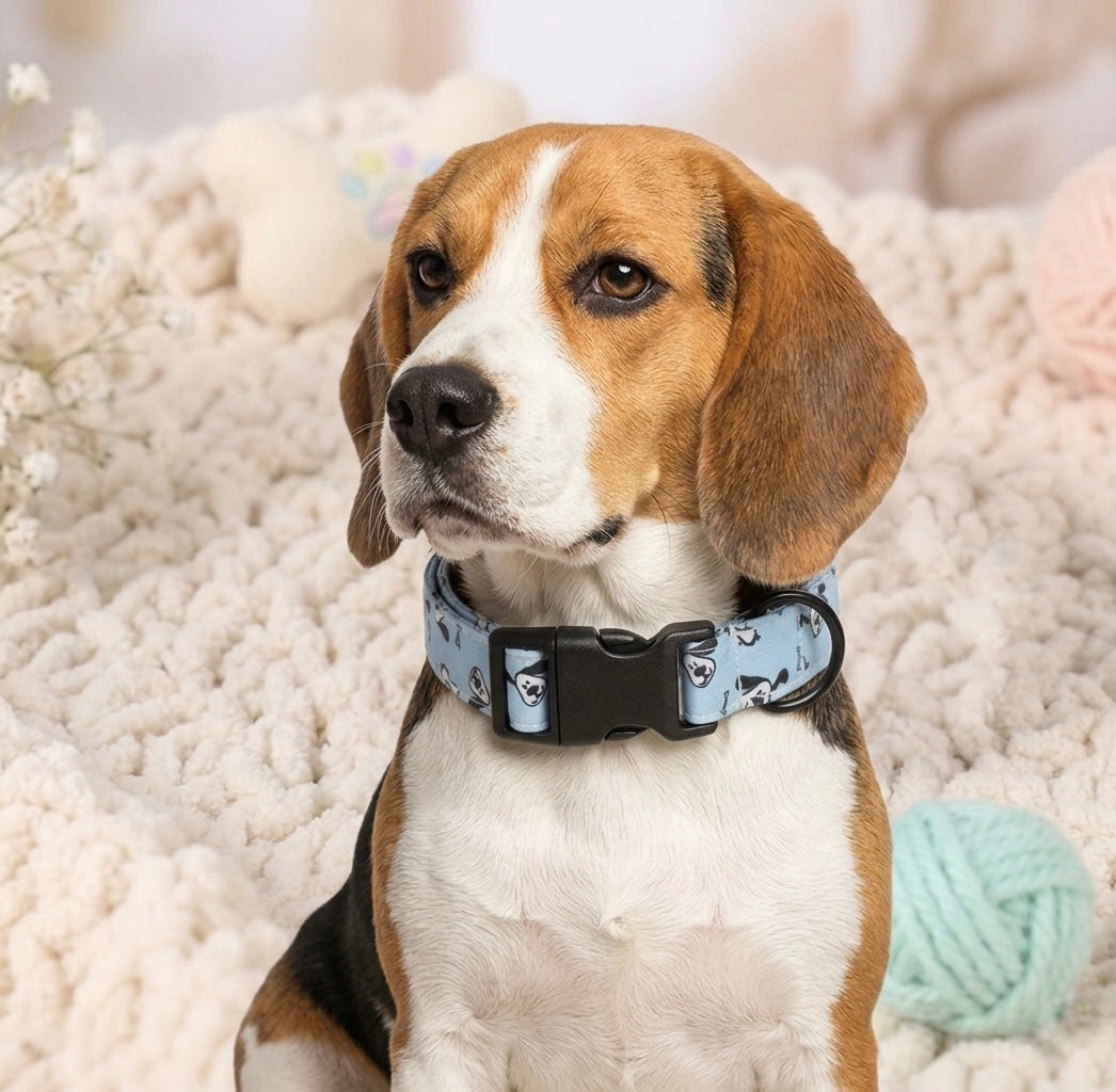 Blue Puppy Collar