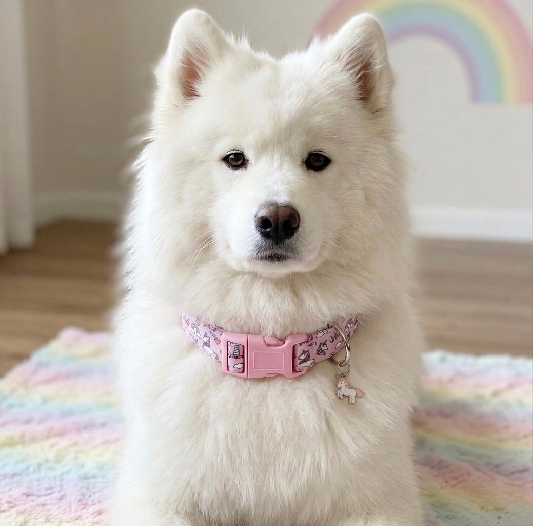 Pink Unicorn Pet Collar