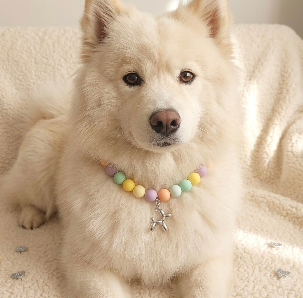 Beaded Pastel Pet Color