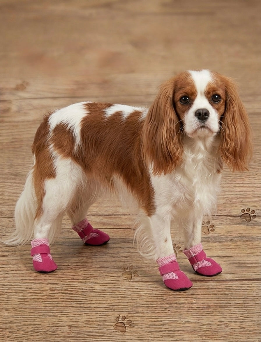 Pink Shoes