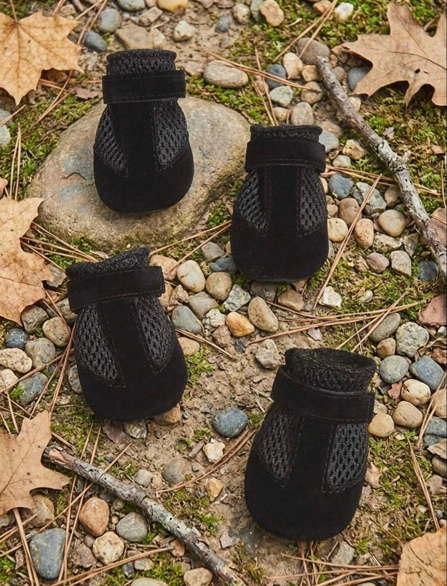 Black Shoes