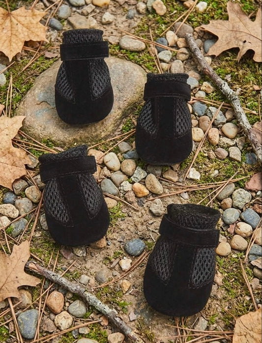 Black Shoes
