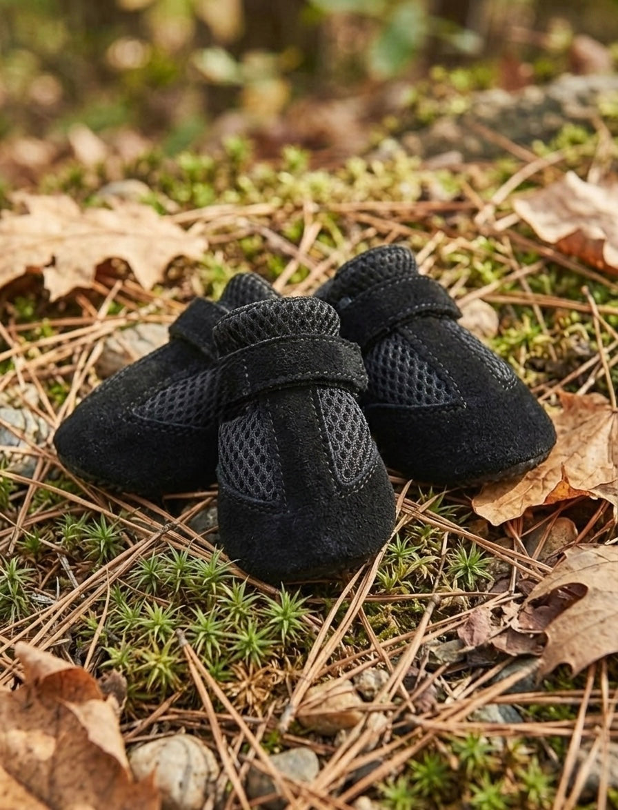 Black Shoes