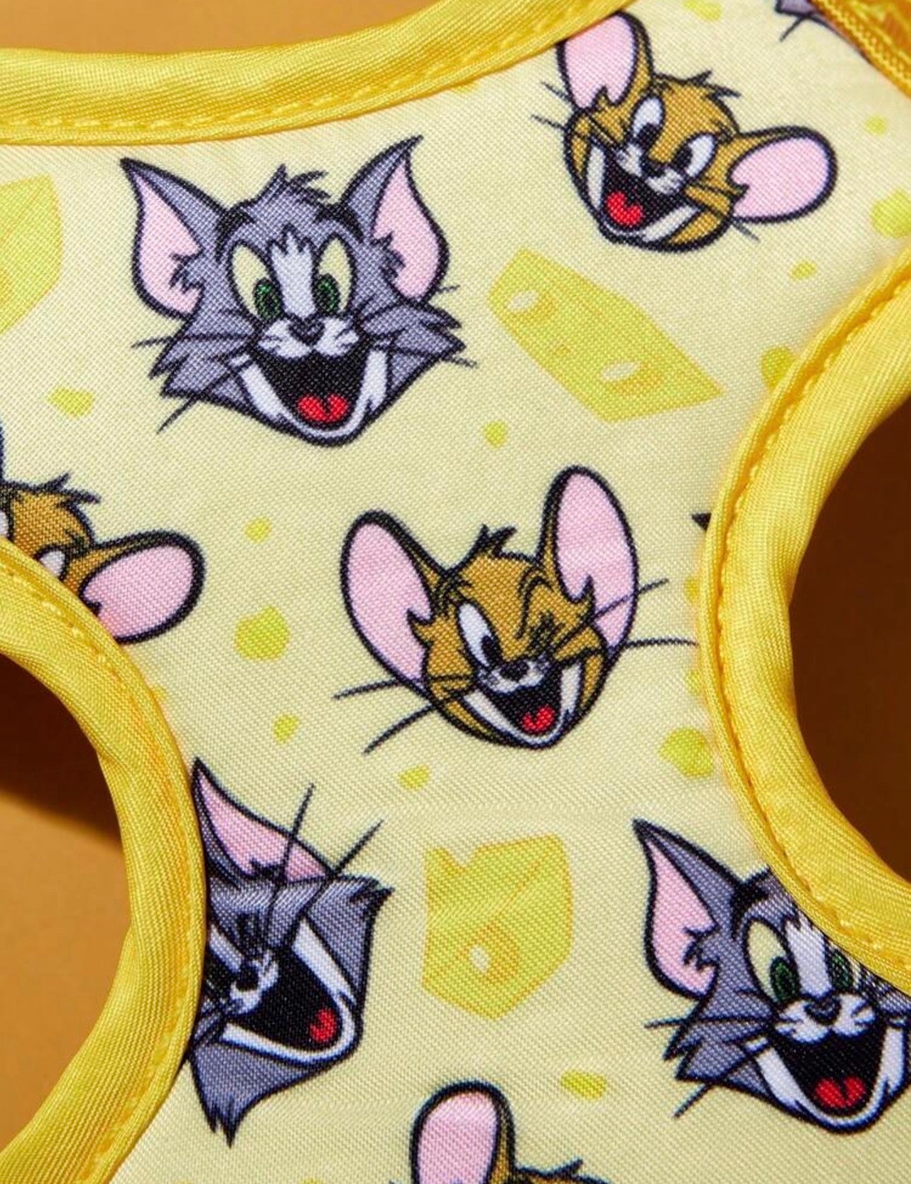 Tom & Jerry Harness Set
