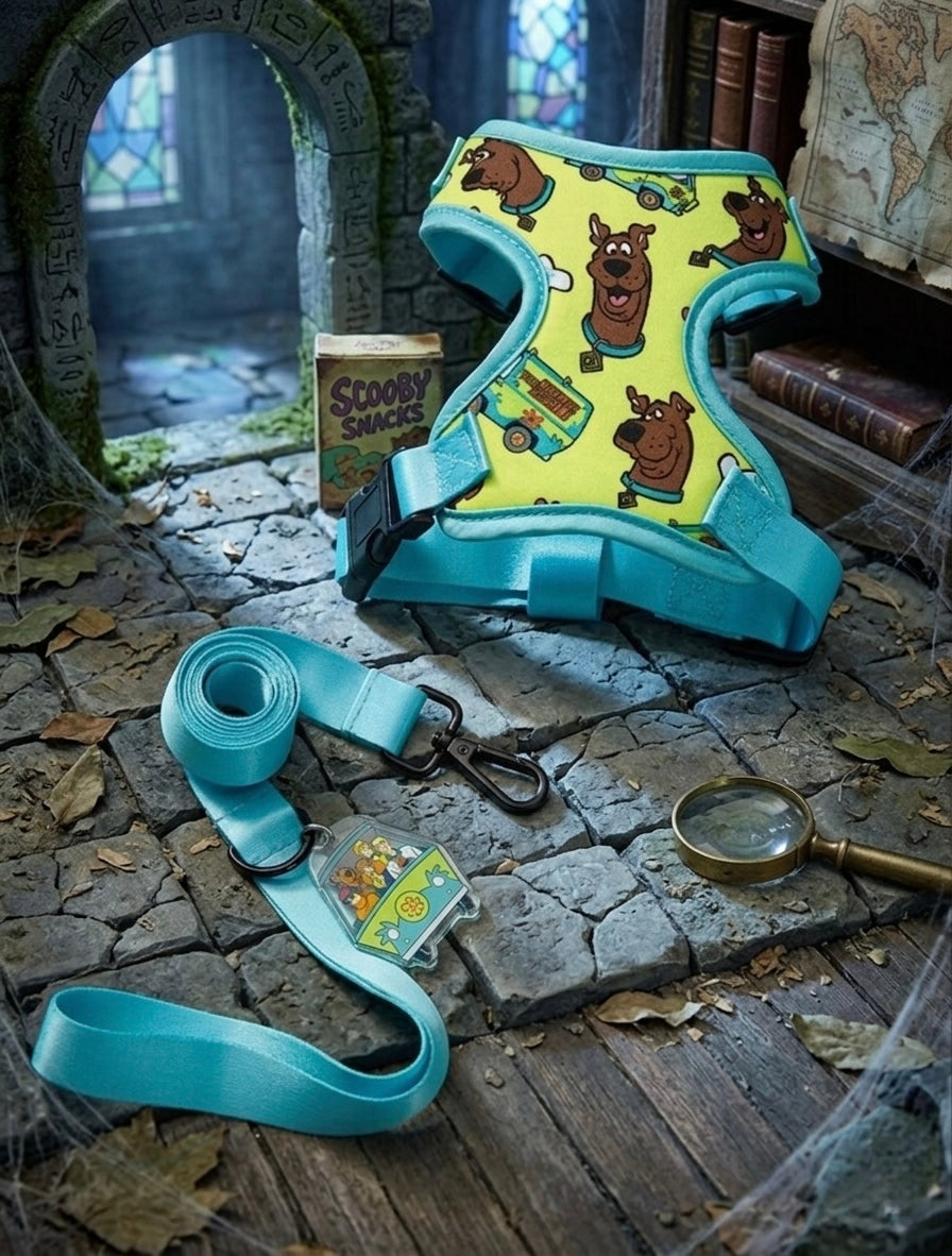 Scooby Doo Harness Set