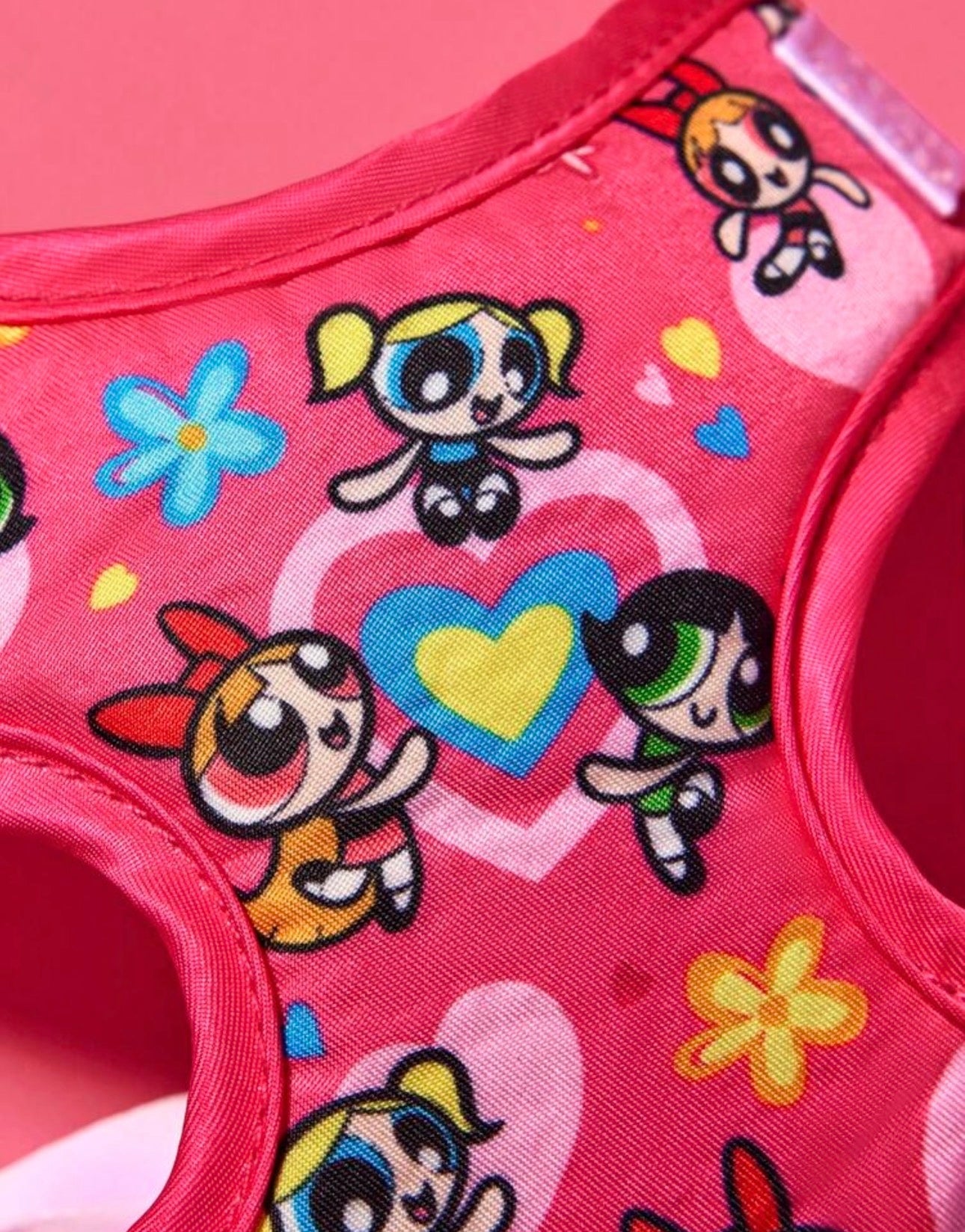Powerpuff Girls Harness Set