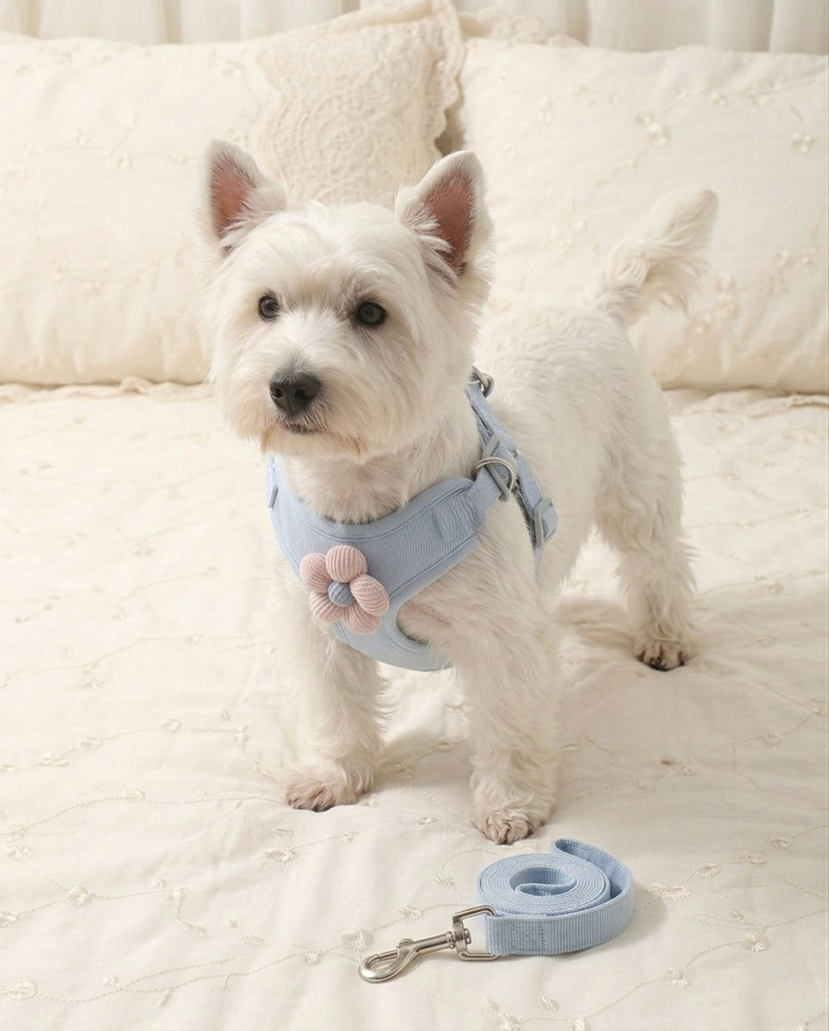 Blue Flower Harness
