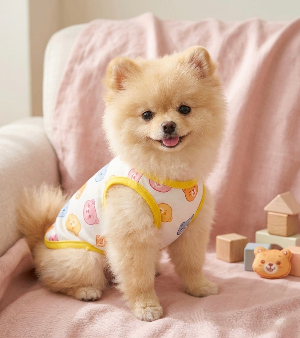 Colorful Bear Shirt