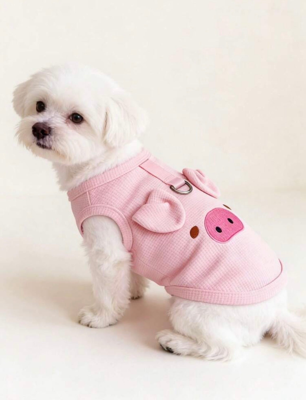 Pig Shirt