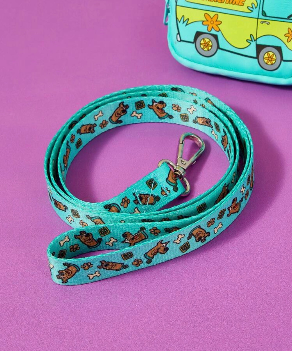 Scooby Doo Leash