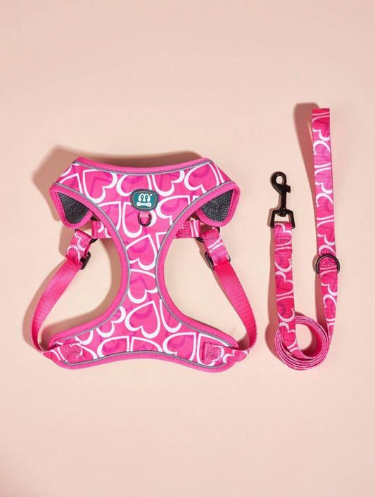 Heart to Heart Harness Set