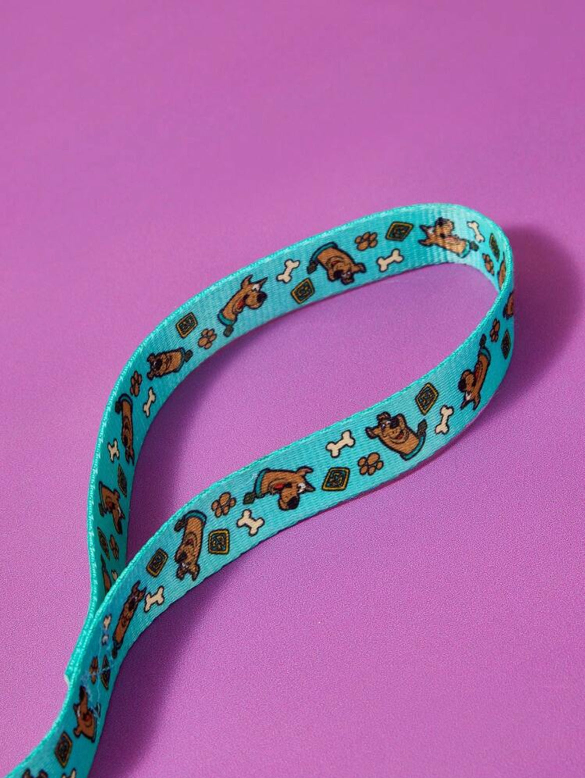 Scooby Doo Leash