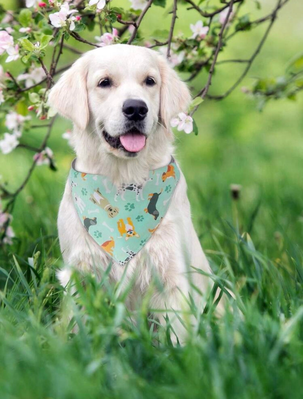 Blue Pet Bandana