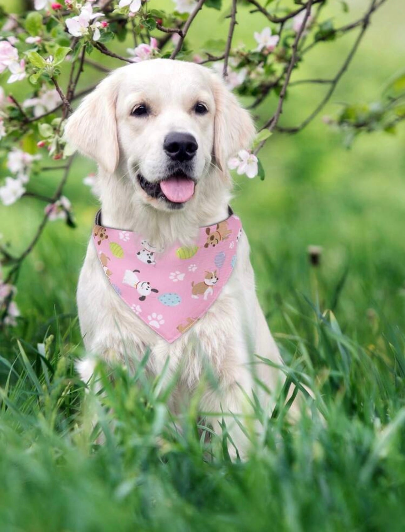 Pink Pet Bandana