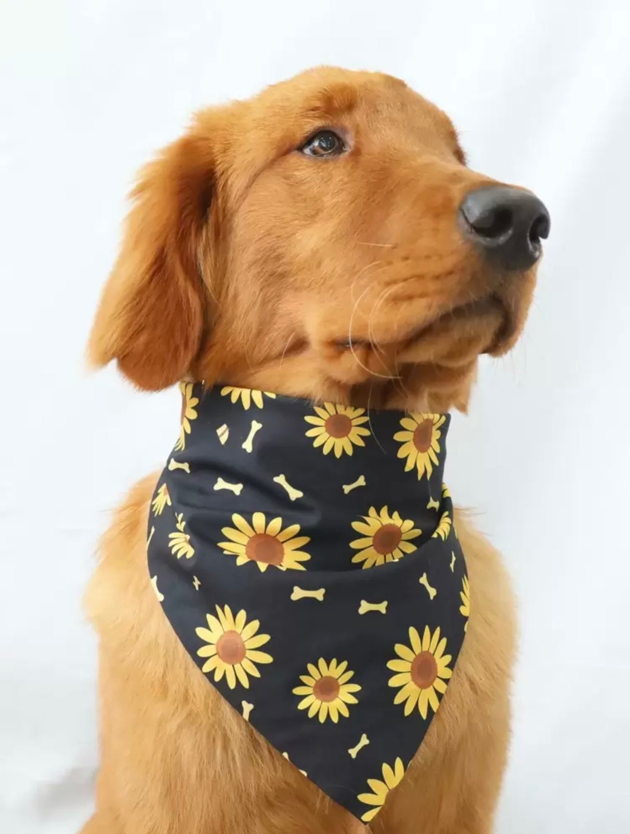 Black Sunflower Bandana