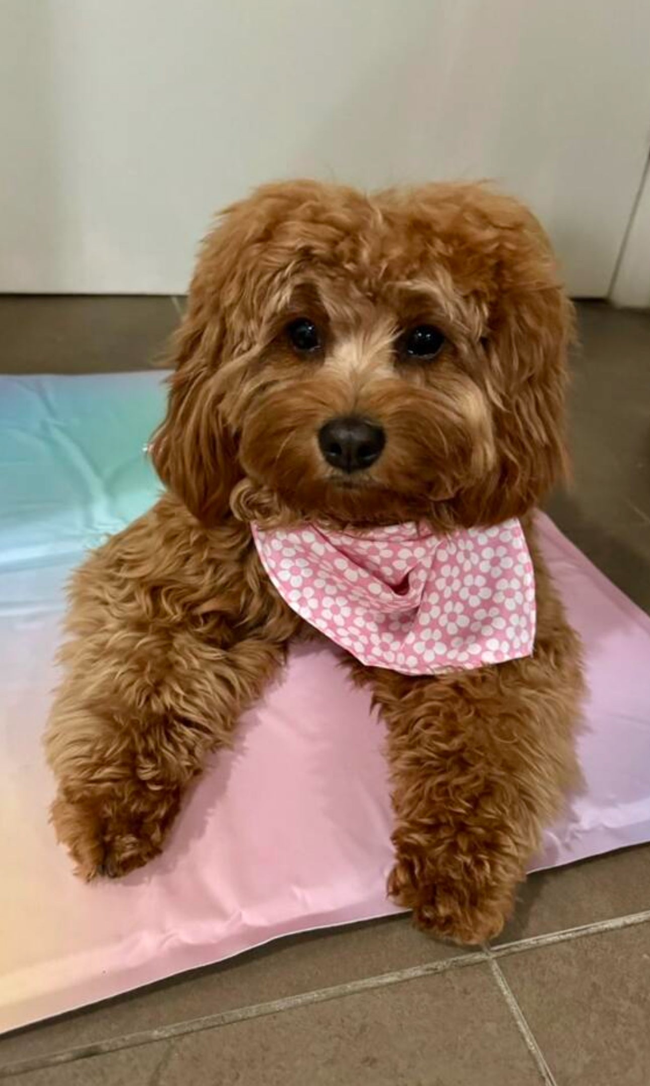 Flowery Bandana